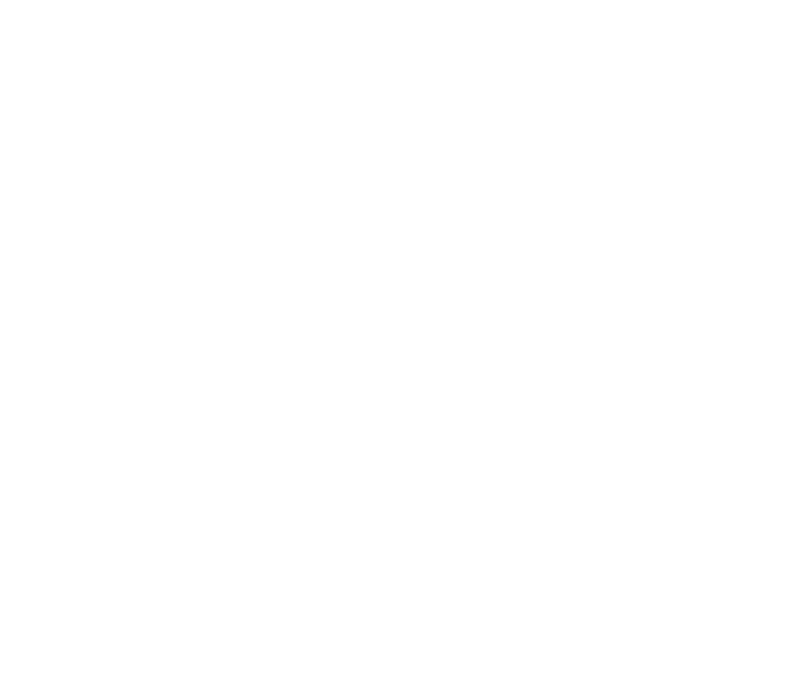 DM Consulting Logo